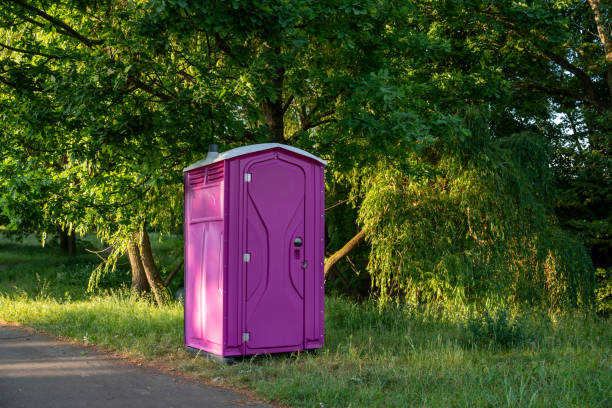 Best Local porta potty services  in Mount Carmel, TN